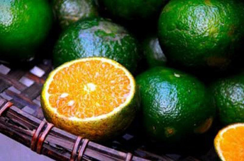 Hiện, Việt Nam mới trồng được hai giống cam là cam xanh quả to, vỏ sần và cam quả tròn, nhỏ có màu xanh vàng. Hơn nữa, do quá trình phòng trừ giống nhện (châm vỏ cam) chưa tốt nên cam Việt thường có vỏ rám.