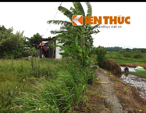 Và thậm chí có những hộ còn làm nhà ngay bên những ngôi mộ giữa cánh đồng rau.