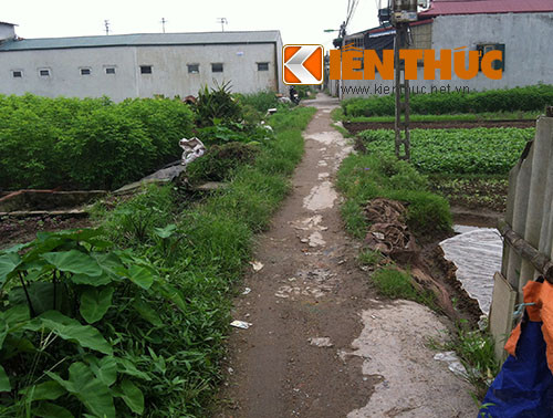 Người dân trong xóm vẫn phải đi về trên những con đường đất nhỏ như bờ ruộng.
