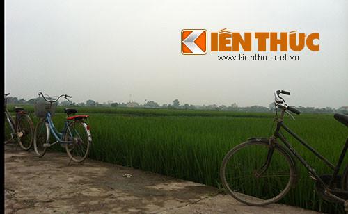 Phương tiện đi lại chính vẫn là những chiếc xe đạp cũ.