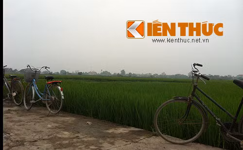 Phương tiện đi lại chính vẫn là những chiếc xe đạp cũ.