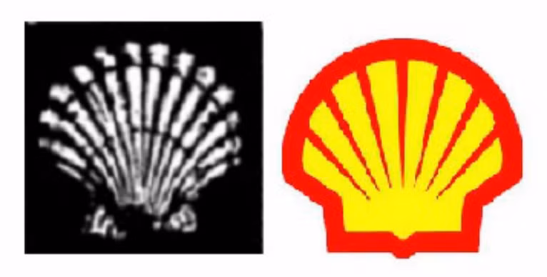 4. Shell Oil (năm sử dụng logo lần đầu tiên: 1904, năm công ty thành lập: 1833, doanh thu công ty mẹ: 451,2 tỷ đồng, lĩnh vực: năng lượng). Năm 1891, Marcus Samuel và công ty bắt đầu xuất khẩu dầu lửa từ London sang Ấn Độ và mang vỏ sò về bán tại trường châu Âu. Ban đầu, việc kinh doanh vỏ sò phổ biến đến mức doanh thu của nó chiếm phần lớn lợi nhuận của công ty. Do đó, năm 1897, Samuel đã thêm chữ “Shell” vào tên công ty và dùng hình ảnh chiếc vỏ sò làm logo. Hiện tại, công ty vẫn giữ hình ảnh vỏ sò 2 màu vàng và đỏ làm logo. Được biết, Shell là một trong những công ty năng lượng lớn nhất thế giới với giá trị trên thị trường lên tới 260 tỷ USD.