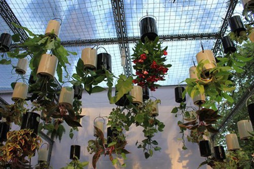 Loại chậu cây này đem lại cảm giác hoàn toàn mới mẻ cho những người yêu thích việc trồng cây.