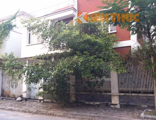 Theo những người dân sinh sống tại đây thì giá của các căn hộ còn khá cao, trong khi khu vực này không nằm gần trung tâm Hà Nội, cách xa những khu vực vui chơi giải trí. Đây là những nguyên nhân khiến khu biệt thự sang chảnh, hiện đại bị bỏ quên. Hiện giá bán các biệt thự là từ 100 đến 300 triệu đồng/m2 (tùy tình trạng và vị trí của ngôi nhà).