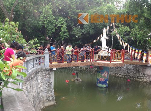 Nhiều người cho rằng, việc tiến cá thần lên chùa sẽ đem lại may mắn và bình an.