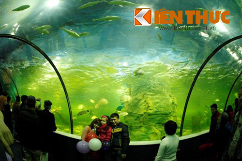 Trước đó, Vingroup đã dự kiến lượng khách có thể tăng gấp đôi, thậm chí gấp 3 lần tại các trung tâm thương mại của tập đoàn này.