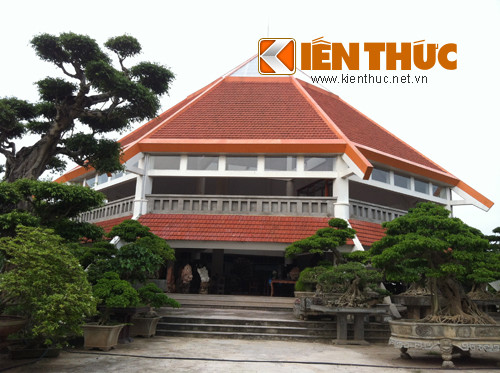 Ngoài cây cảnh, đại gia Phiến "cá" còn được biết đến là một người đam mê đồ cổ. Ông đã chi tiền để đầu tư xây dựng một bảo tàng đồ cổ ngay trong khu vườn.