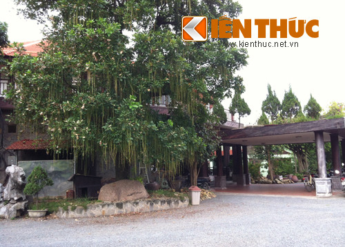 Phía trước là khu kinh doanh nhà hàng cá sông được thiết kế nằm sát hồ nước rộng mênh mông.