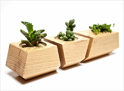 Chậu cây "cắt khúc" được làm từ gỗ của cây óc chó rắn chắc với những vân gỗ tự nhiên tuyệt đẹp. Bộ chậu cây cảnh này vốn được làm từ một khúc gỗ nguyên khối hình chữ nhật dài.