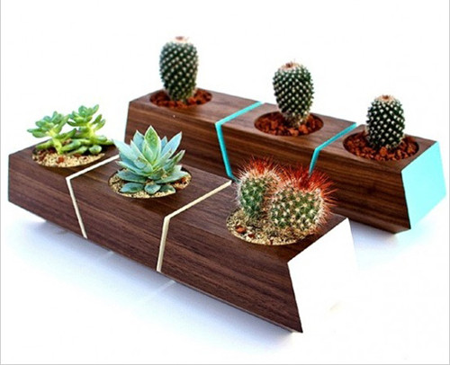 Bên cạnh thiết kế giữ nguyên vẻ mộc mạc của gỗ, một số thiết kế khác được phủ màu bao quanh và ở cả các mặt cắt để tạo ra điểm nhấn nổi bật. Loại chậu này rất thích hợp để trồng các loại xương rồng hay cây bỏng mọng nước.