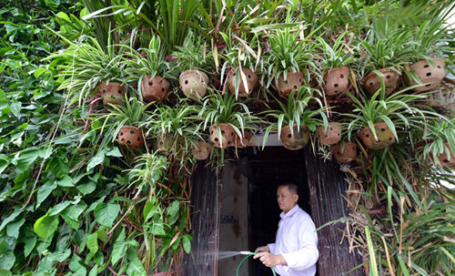 Gần đây, một ngôi nhà 3 tầng phủ kín cây xanh nổi bật trên đường Nguyễn Huy Tưởng (Thanh Xuân, Hà Nội) khiến ai đi qua cũng phải ngưỡng mộ.