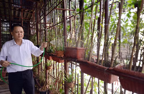 Để cây cối có thêm xanh tốt chủ nhà đẫ đầu tư giàn khung sắt để lên tiếp 2 tầng cho cây có chỗ leo và phủ kín mái. Loại sắt sử dụng để làm 2 tầng khung tầng 2 và 3, kiêm một phần bao tầng 1 là loại thép từ phi 19 đến 48. Riêng chi phí cho tiền sắt đã lên tới gần 1 tỷ đồng.