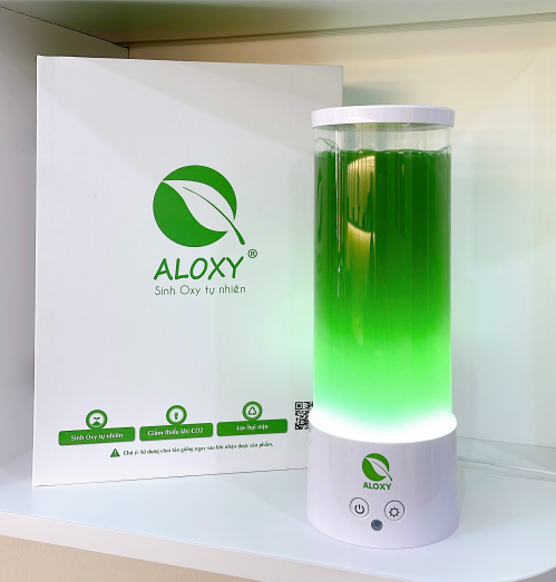 PGS.TS Doan Thi Thai Yen: Tam huyet den tao thay cay xanh trong nha-Hinh-2