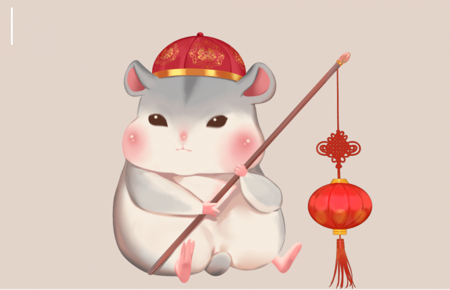 Con giáp này rất chăm lo cho gia đình. Gia đình họ cũng có sự thấu hiểu, đồng cảm với nhau, những lúc khó khăn cũng thường xuyên trợ giúp. Chính sự hòa thuận này khiến cuộc sống của người tuổi Tý càng thêm viên mãn hơn.