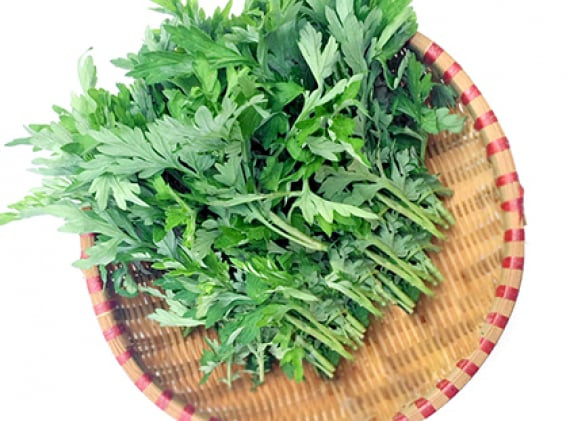 Ngoài ra, rau ngải cứu còn có công dụng an thần, hạ đường huyết, giải cảm cho con người vô cùng tốt. Rau ngải cứu dễ sống và thường mọc ở những nơi thoáng mát, không khí trong sạch nên ít khi được vun bón hóa chất rất an toàn cho bạn. 