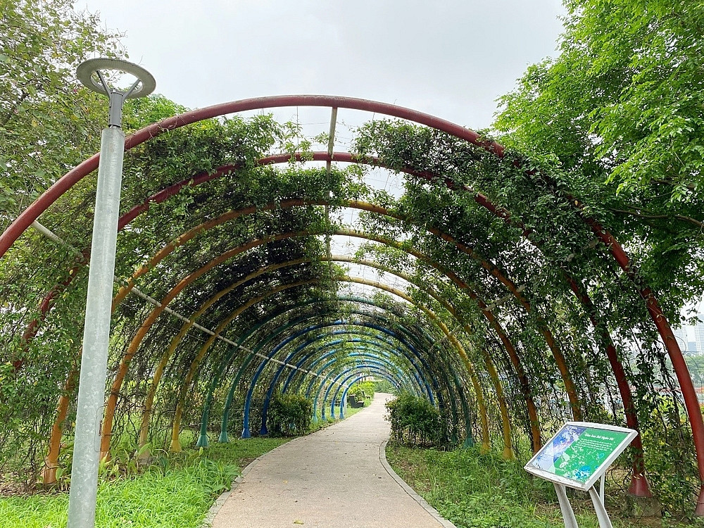 Cong vien Thien van hoc nhon nhip tro lai sau nhieu nam bo hoang-Hinh-4