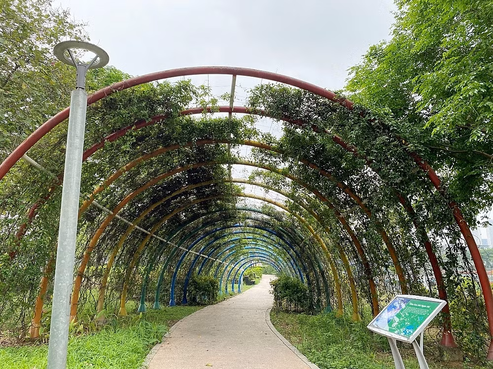 Cong vien Thien van hoc nhon nhip tro lai sau nhieu nam bo hoang-Hinh-4