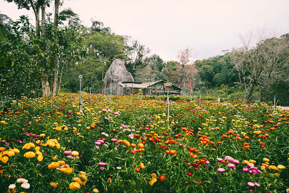 Dieu dac biet o phim truong 'Lat mat 7' cua Ly Hai-Hinh-8