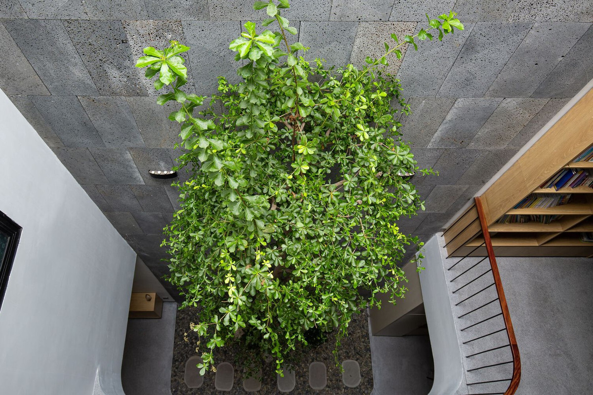 Một công năng khác của khu vực này là giúp đưa ánh sáng tự nhiên vào căn nhà.