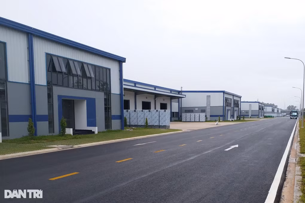 Nghe “heo” nguoi lam du thu nhap ca ty dong moi lan giao dich-Hinh-2