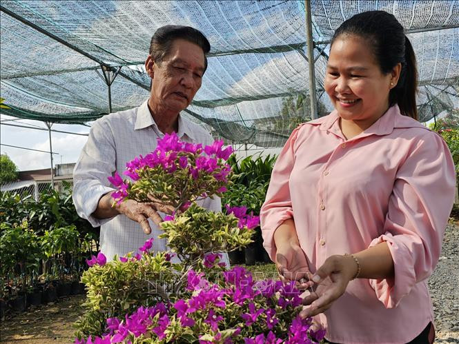 Trồng cây cảnh đang hot, người dân Bến Tre thu hàng trăm triệu đồng Trong cay canh dang hot, nguoi dan Ben Tre thu hang tram trieu dong