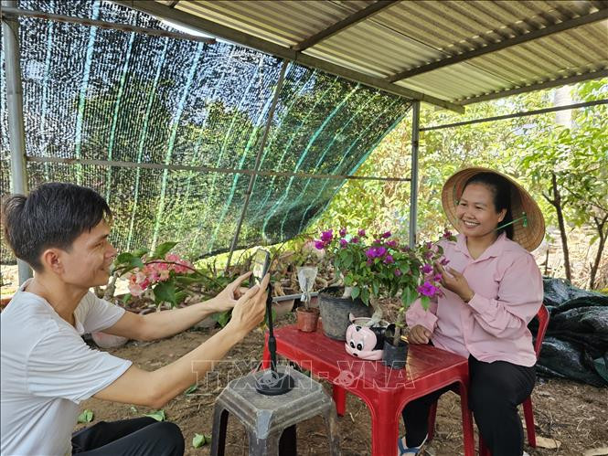 Trồng cây cảnh đang hot, người dân Bến Tre thu hàng trăm triệu đồng - Hình 2 Trong cay canh dang hot, nguoi dan Ben Tre thu hang tram trieu dong-Hinh-2