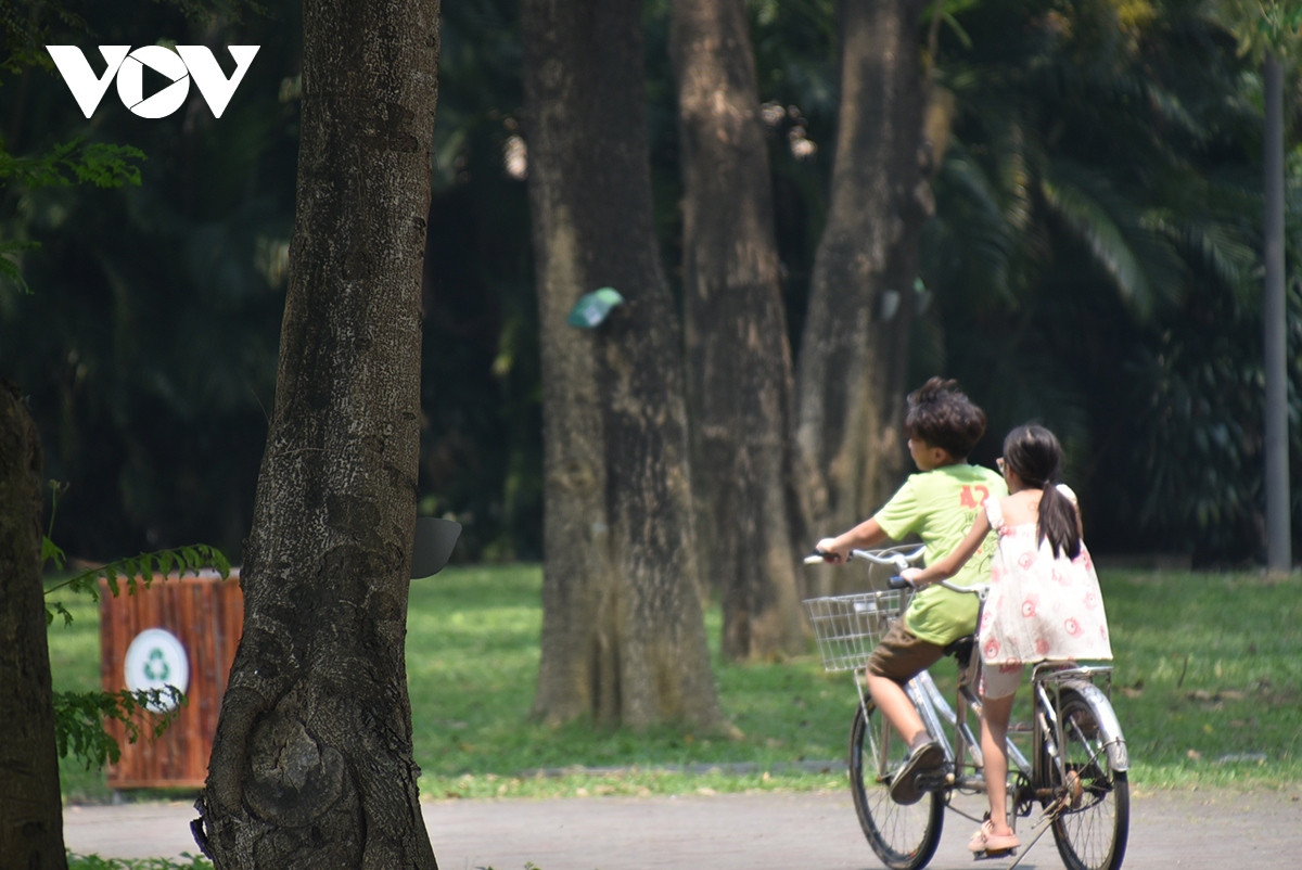 Những đứa trẻ đạp xe vui chơi dưới những tán cây.