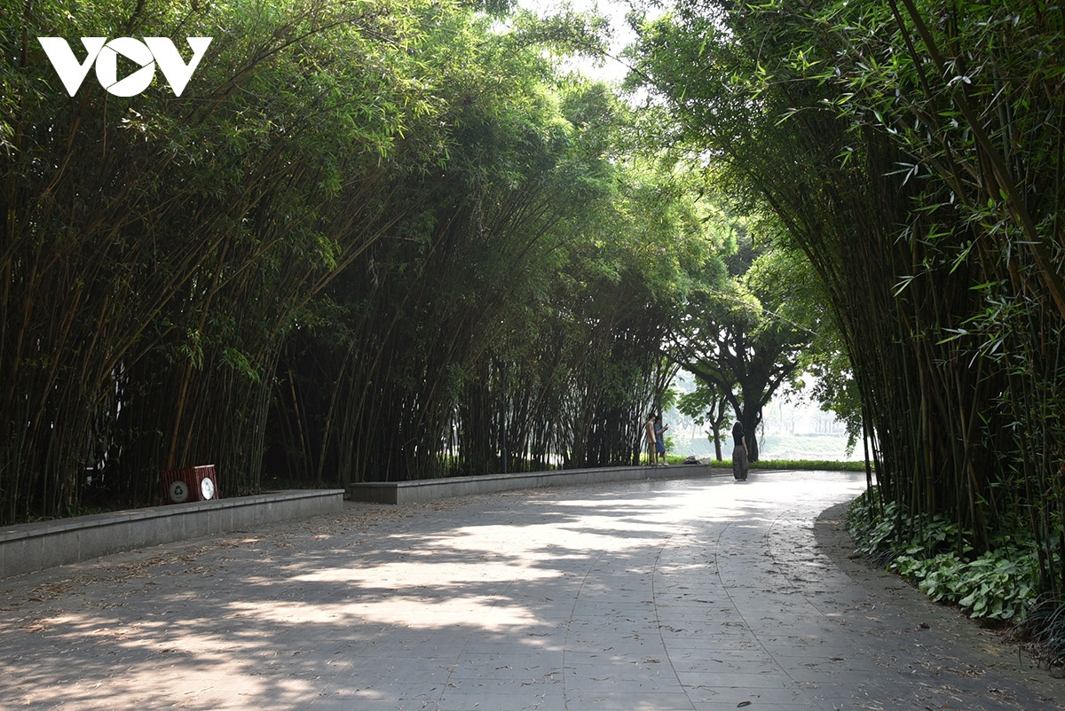 Công viên có diện tích 323 hecta, phần cây xanh và hồ nước chiếm khoảng 280 hecta. Ngay tại khu vực trung tâm là hồ điều hoà rộng lớn, bốn bề là đồi cỏ, cây cối và lối đi, tạo nên một không gian xanh mát.