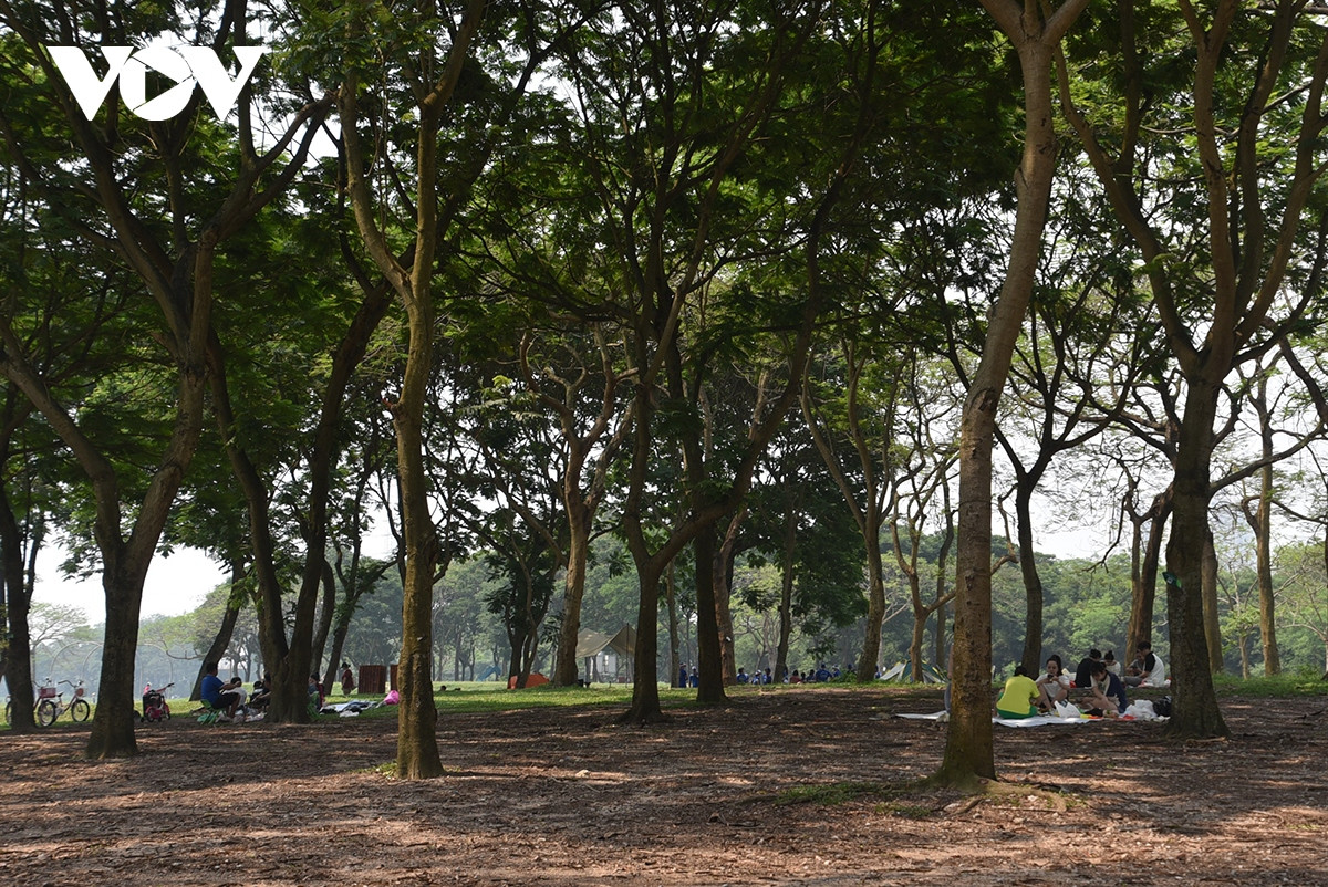 Người dân cắm trại, dựng lều, nướng thịt và thưởng thức những bữa ăn ngoài trời.