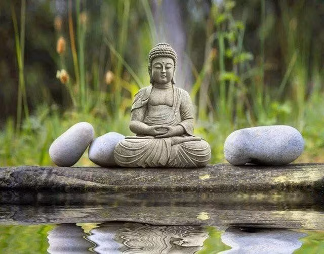 Ngua khong tranh toc do voi trau, chong khong tranh thang thua voi vo