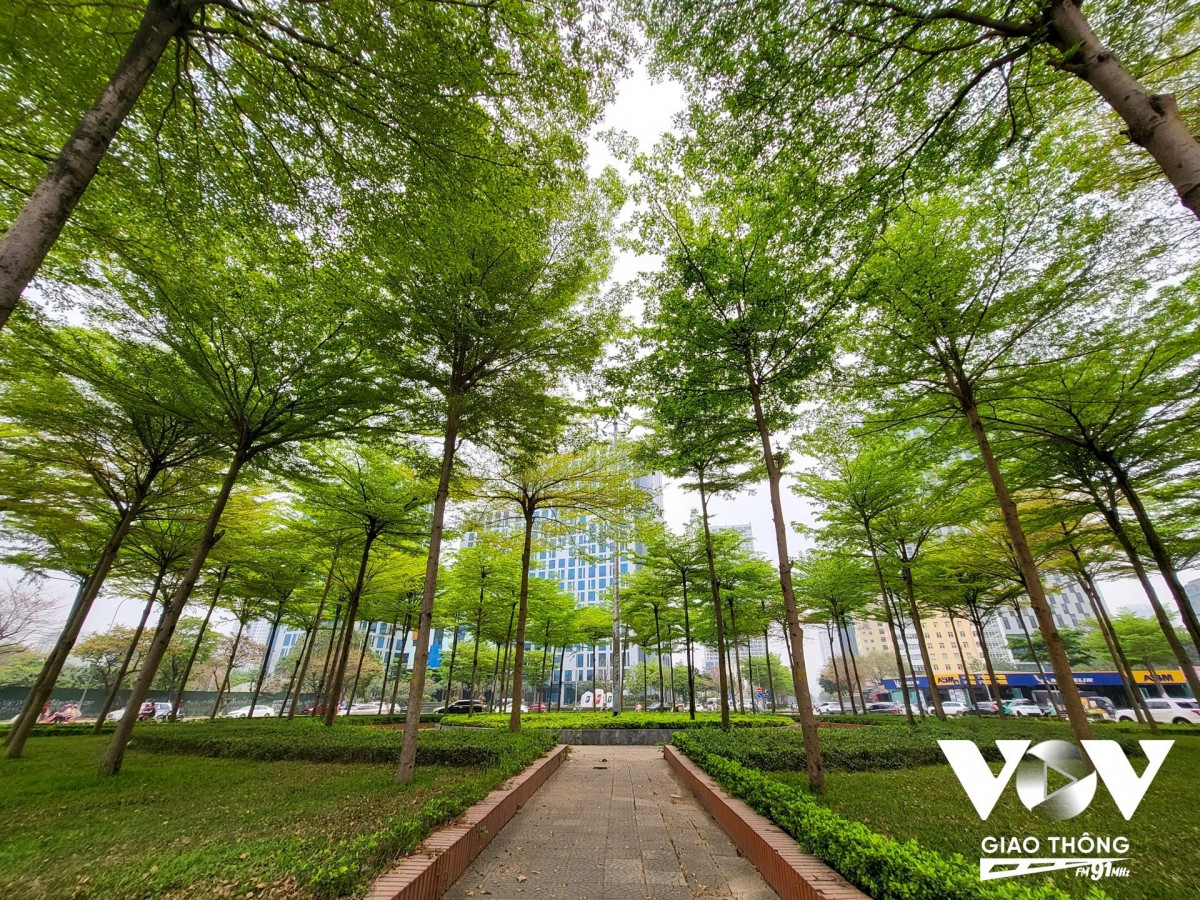 Trong ảnh là vòng xoay Trần Thái Tông - Tôn Thất Thuyết (quận Cầu Giấy, Hà Nội).