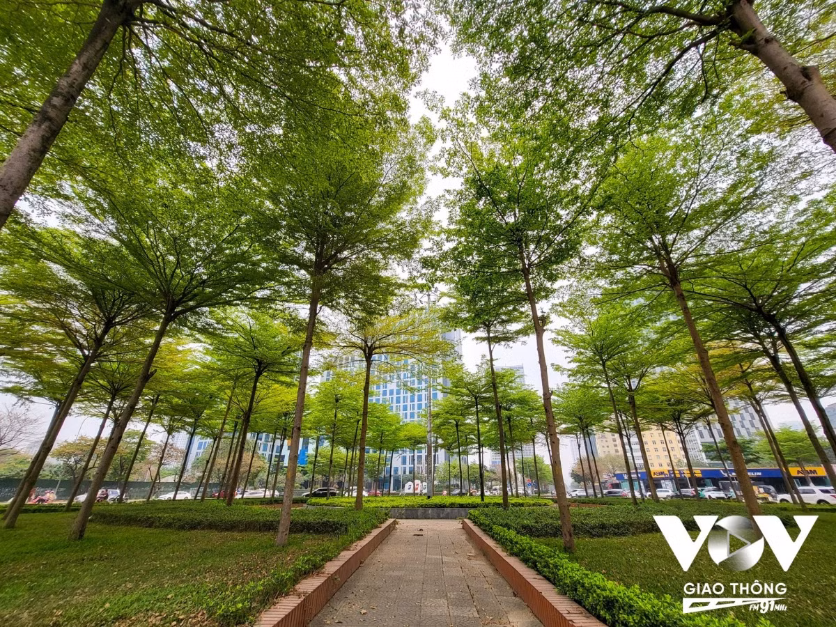 Trong ảnh là vòng xoay Trần Thái Tông - Tôn Thất Thuyết (quận Cầu Giấy, Hà Nội).