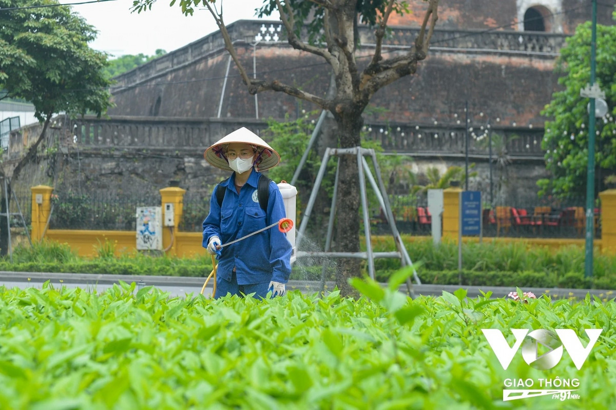 Để có những màu xanh của cây, sắc đẹp của hoa không thể hiếu sự chăm sóc của các công nhân.