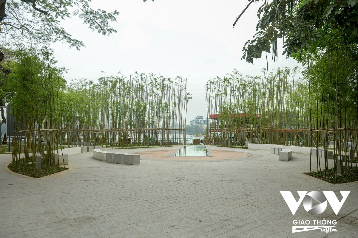 Vườn trúc bên hồ Trúc Bạch, phường Trúc Bạch, quận Ba Đình, Hà Nội thời điểm này đã bật những lá xanh mướt.
