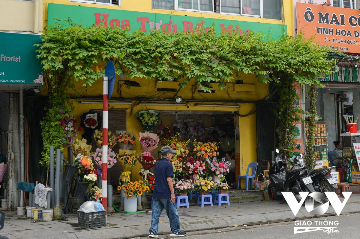 Không chỉ ở các tuyến đường, những người dân có nhà mặt phố cũng trồng cho mình những loại cây leo để tạo không gian xanh.