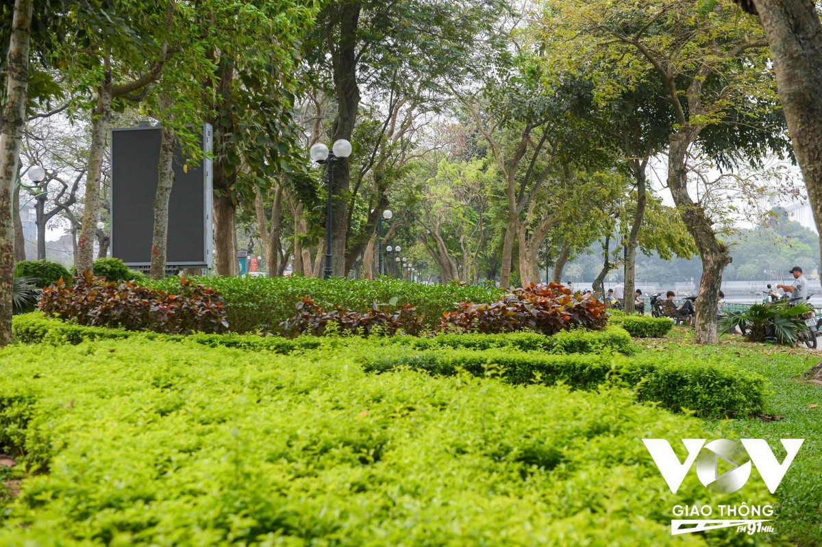 Dọc đường Thanh Niên phía bên hồ Tây thời điểm này các cây xanh đã ra lá mới, non và xanh.