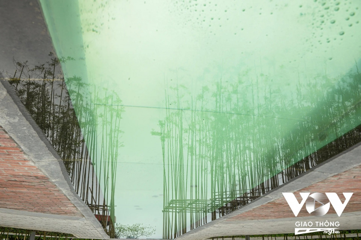 Khi dân số thủ đô ngày một tăng cao, mật độ xây dựng dày đặc với những ngôi nhà cao tầng chen chúc nhau thì một khoảng xanh của bóng cây là một điều quý giá.