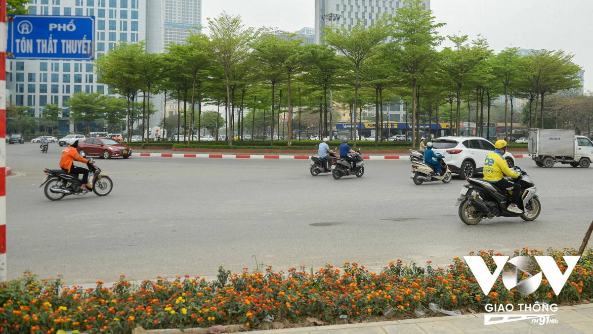 Những ngày này đi qua một số tuyến phố của Hà Nội không khó để bắt gặp hình ảnh những cây bàng Đài Loan (Bàng lá nhỏ) đã bật lá mới màu xanh mướt.