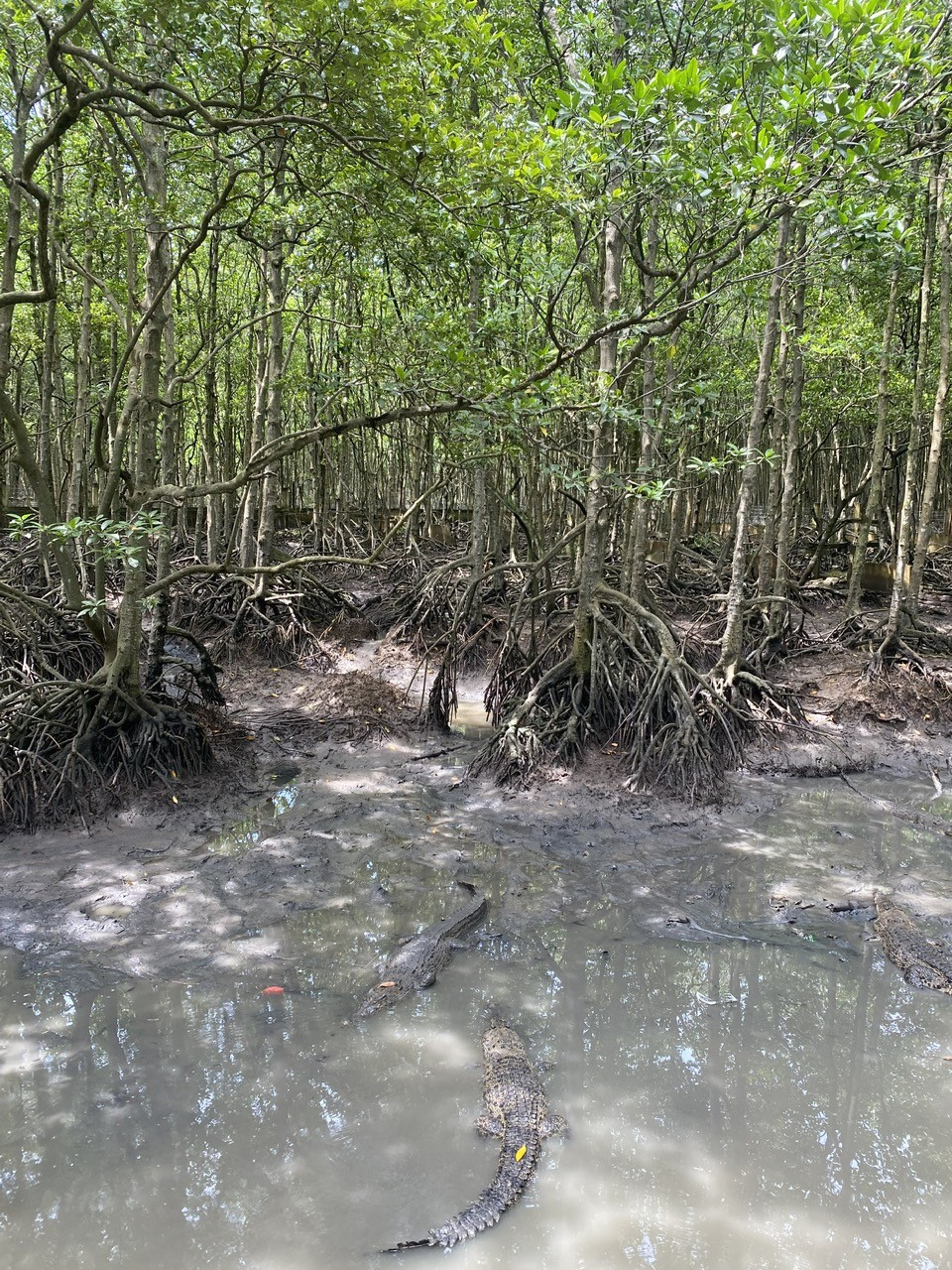 Tham chien khu rung Sac, tu hao ve chien si dac cong T10-Hinh-2