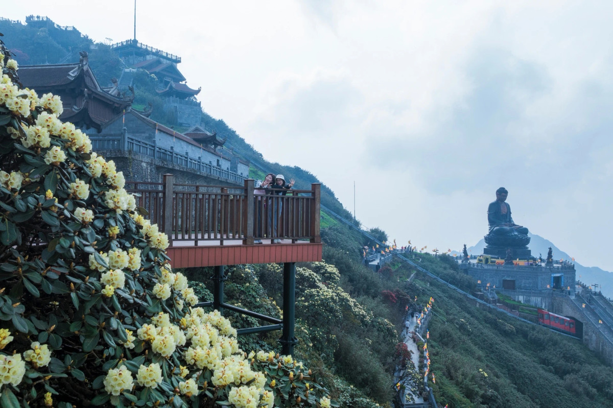 Từng chùm đỗ quyên phủ khắp núi rừng, tạo nên khung cảnh thơ mộng. Hoa của gần 40 loài hoa đỗ quyên phát hiện trong rừng tự nhiên Sa Pa khá đa dạng về màu sắc và kích thước.