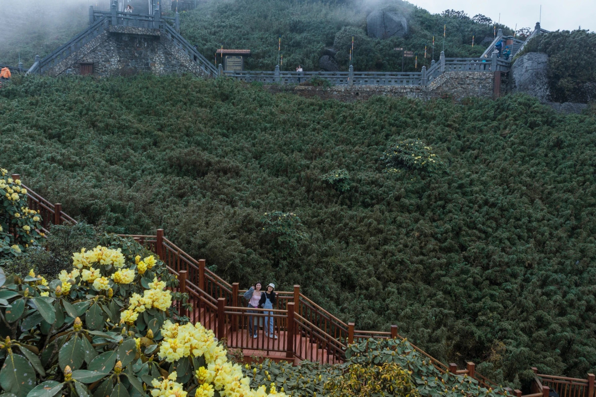 Khi đó, những thân cành khô mốc của loài cây rừng cheo leo trên vách đá lại bung nụ xòe hoa.