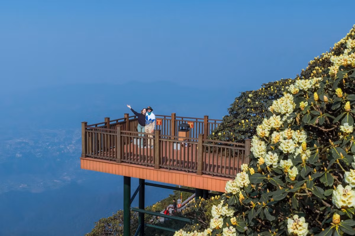 Me man ngam rung hoa do quyen bung no ruc ro tu dinh Fansipan