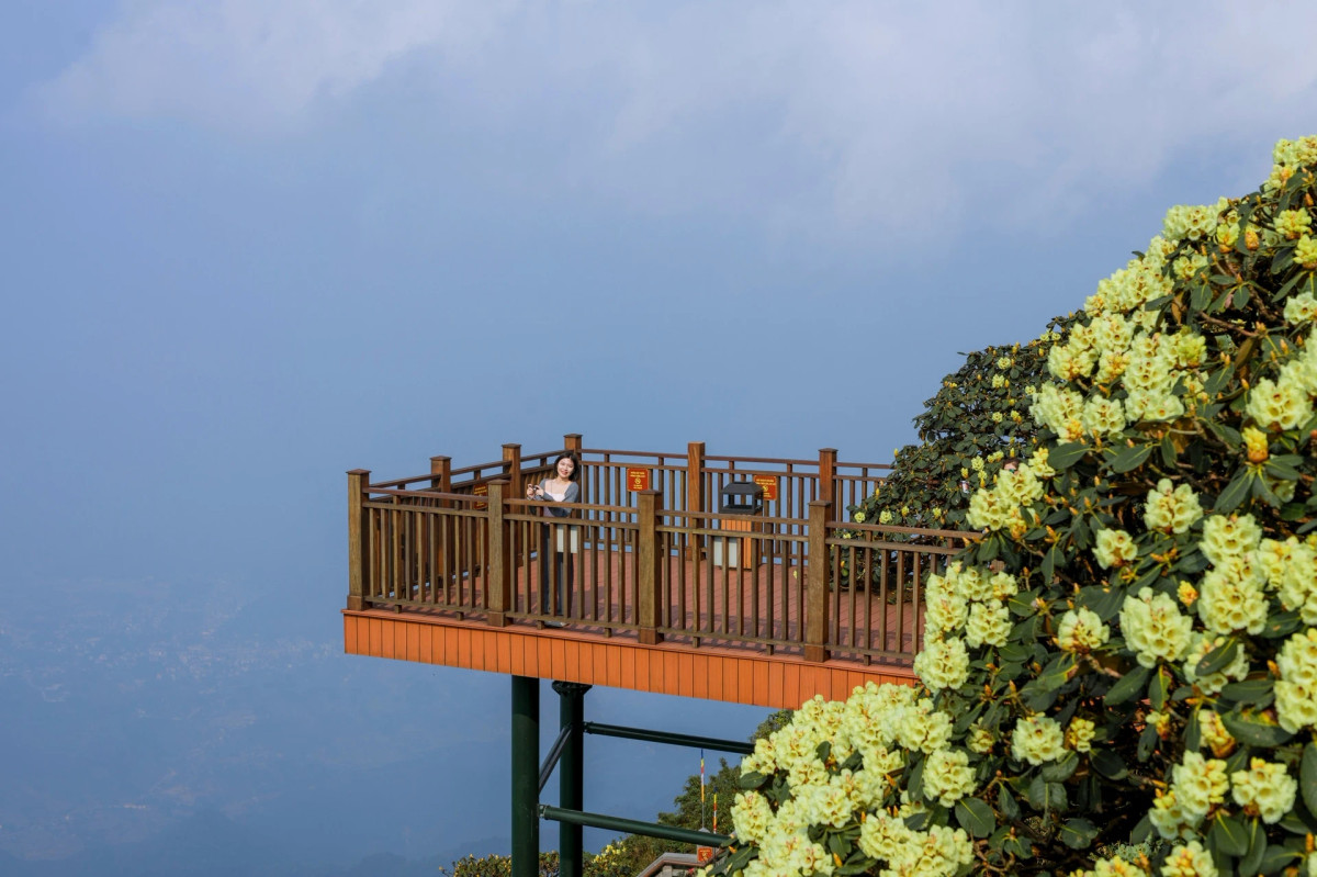 Du khách du ngoạn Fansipan mùa này thường để chiêm ngưỡng đỗ quyên, ngoài ra kết hợp tham quan những bản làng tại Sapa khi thời tiết đẹp.