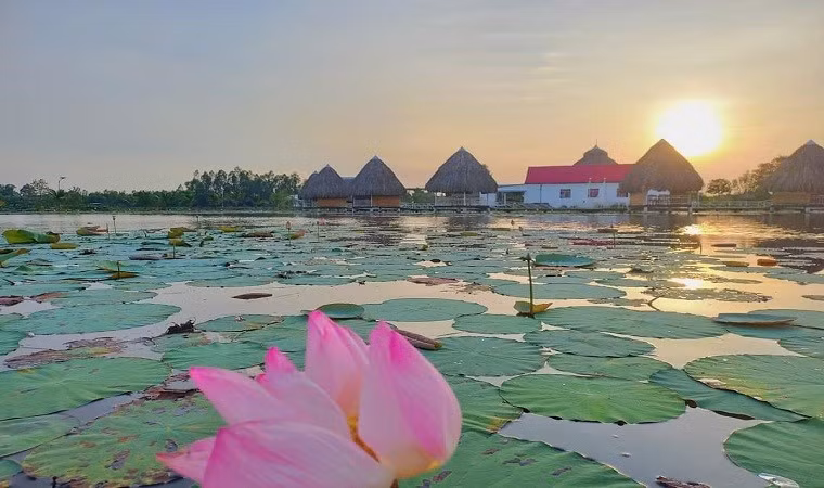 Check in diem ngam sen tuyet dep o Dong Thap dip nghi le-Hinh-3
