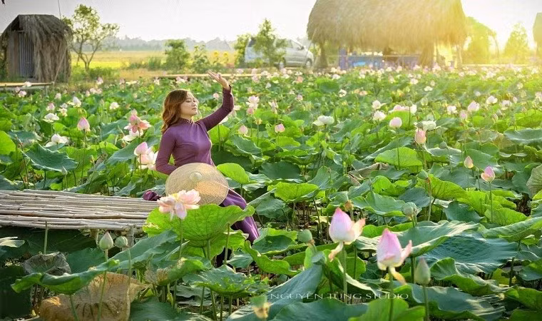 Check in diem ngam sen tuyet dep o Dong Thap dip nghi le-Hinh-2