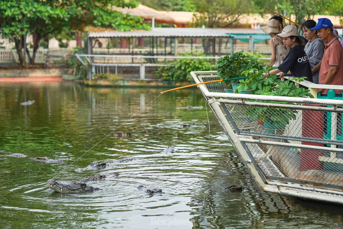 br/> Trải nghiệm câu cá sấu thu hút nhiều du khách. Câu cá sấu không có thành quả như câu các loại cá khác. Tuy nhiên, cảm giác kích thích mà chúng mang lại rất thú vị.