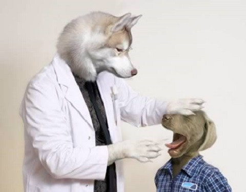 "Bác sĩ" đáng kính.