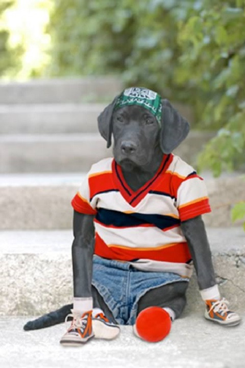 "Chú bé" này đang buồn gì thế?