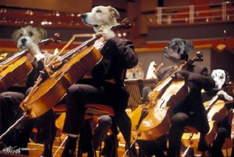 Đố ai tìm được Beethoven trong dàn nhạc này?