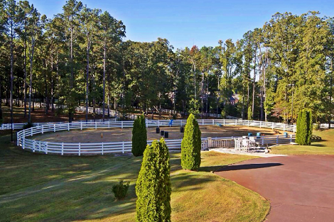 Có 3 đồng cỏ riêng biệt và 1 đấu trường xa hoa dành cho các đại gia có sở thích cưỡi ngựa.
